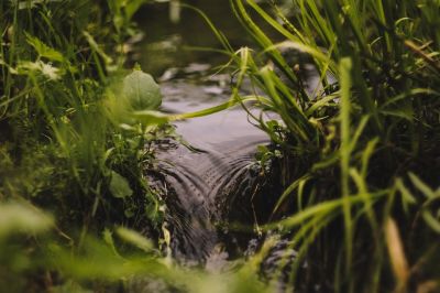15 мая — Единые дни действий в защиту малых рек и водоемов - новости экологии на ECOportal