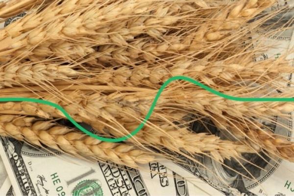 Цены на пшеницу достигли максимума за 14 лет