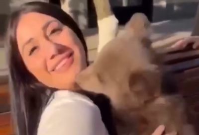 Девушка, укушенная медвежонком в Грозном, призвала запретить фотосессии с дикими животными / Видео - новости экологии на ECOportal