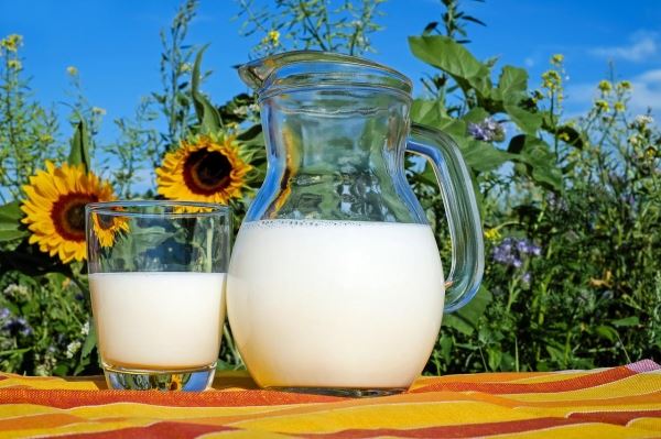Курские хозяйства нарастили производство молока на 34,3%