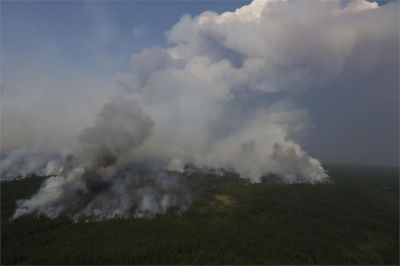 Информация о лесных пожарах в Российской Федерации на 14 мая 2022 года - новости экологии на ECOportal