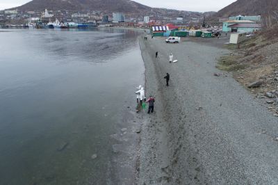 В столице Камчатки специалисты ЛАРН очищают берег Авачинской бухты от нефтепродуктов  - новости экологии на ECOportal