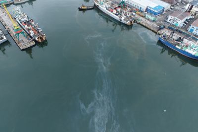 В Авачинской бухте ликвидировали разлив нефтепродуктов - новости экологии на ECOportal